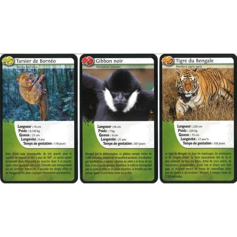 Défis Nature - Asie 2 Défis Nature - Asie – Image 2