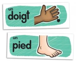 Passe-Temps Vocabulaire Mural Des Parties Du Corps - Passe-temps 6 Passe-Temps Vocabulaire Mural Des Parties Du Corps - Passe-temps -Damier Jeux Magasin passe temps vocabulaire mural des parties du corps 2