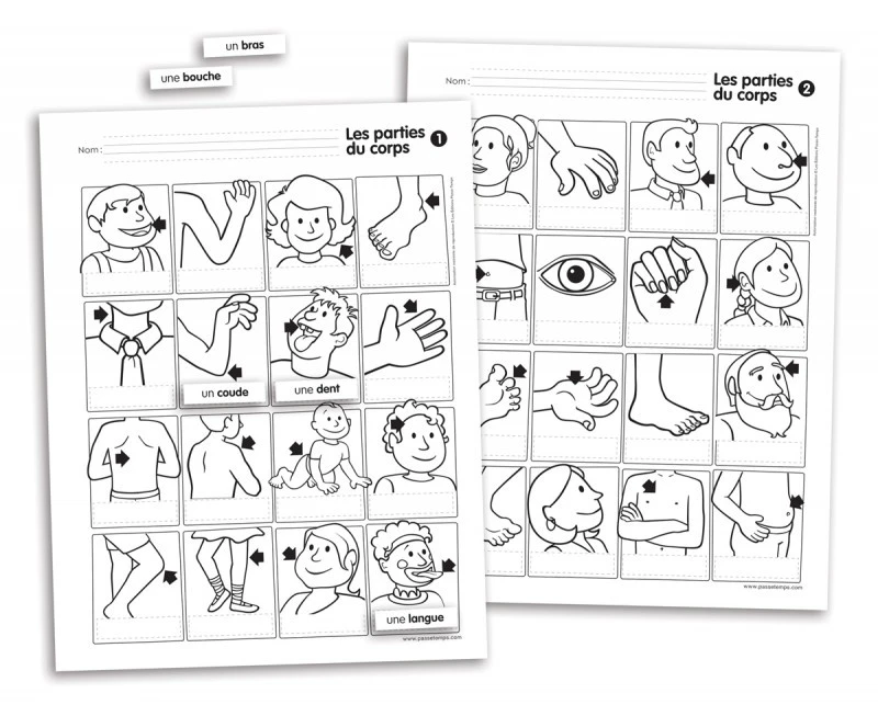 Passe-Temps Vocabulaire Mural Des Parties Du Corps - Passe-temps 4 Passe-Temps Vocabulaire Mural Des Parties Du Corps - Passe-temps – Image 4