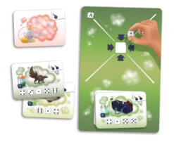 Placote DÉgourdi - Placote -Damier Jeux Magasin placote degourdi placote 2